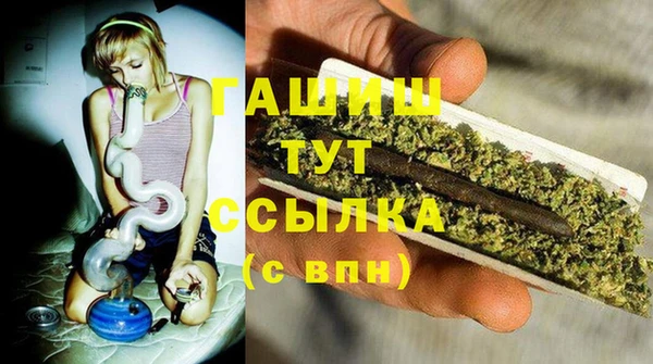 spice Бородино
