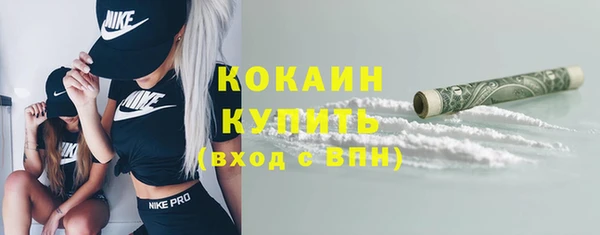 spice Бородино