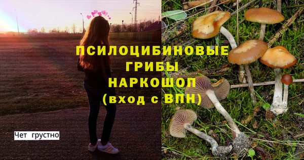 jwh Бронницы