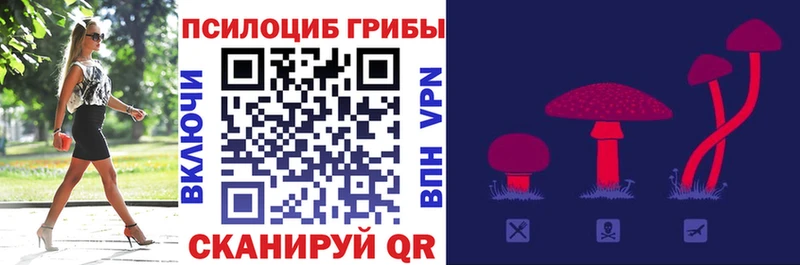 продажа наркотиков  Пересвет  Псилоцибиновые грибы MAGIC MUSHROOMS 